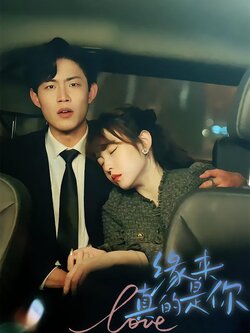 缘来真的是你海报