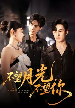 不望月光，不望你海报