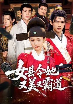 女县令她又美又霸道海报